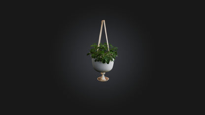 3D model Hanging planter VR / AR / low-poly
