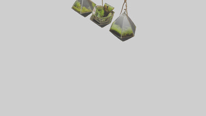 3D model Hanging Terrariums VR / AR / low-poly