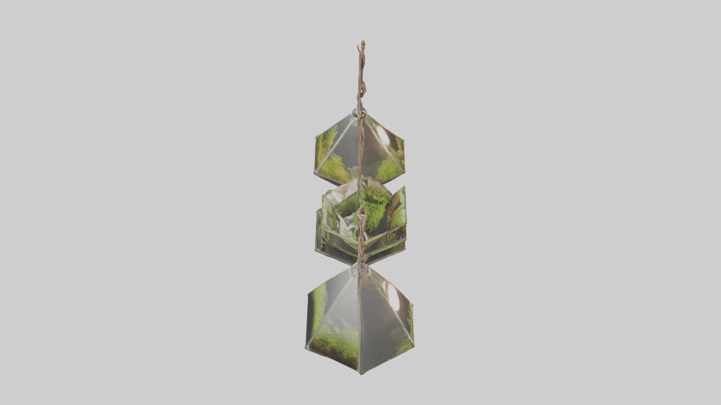 3D model Hanging Terrariums VR / AR / low-poly