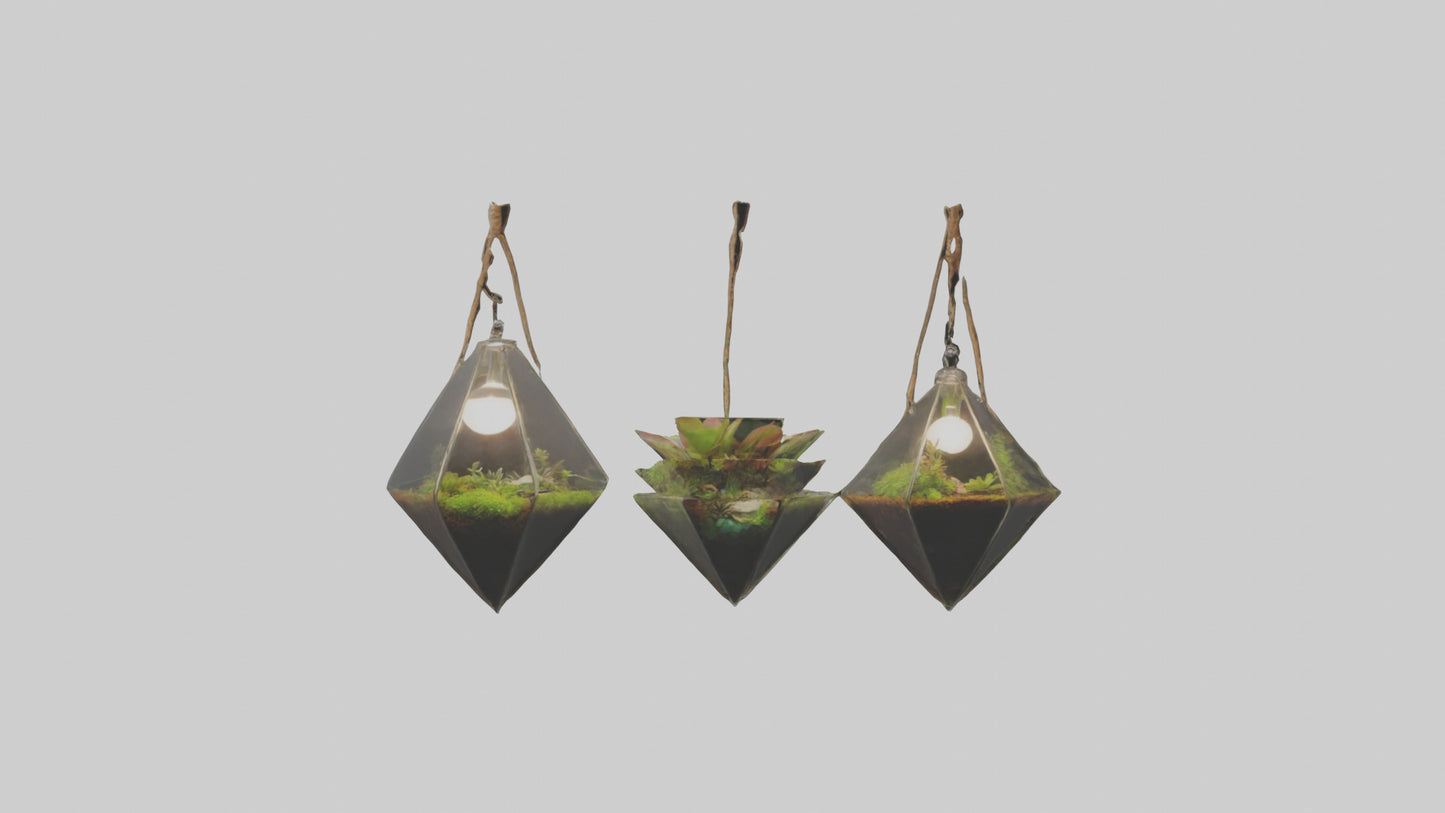 3D model Hanging Terrariums VR / AR / low-poly