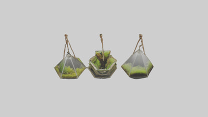 3D model Hanging Terrariums VR / AR / low-poly