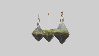 3D model Hanging Terrariums VR / AR / low-poly