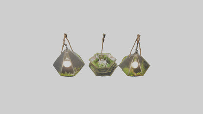 3D model Hanging Terrariums VR / AR / low-poly
