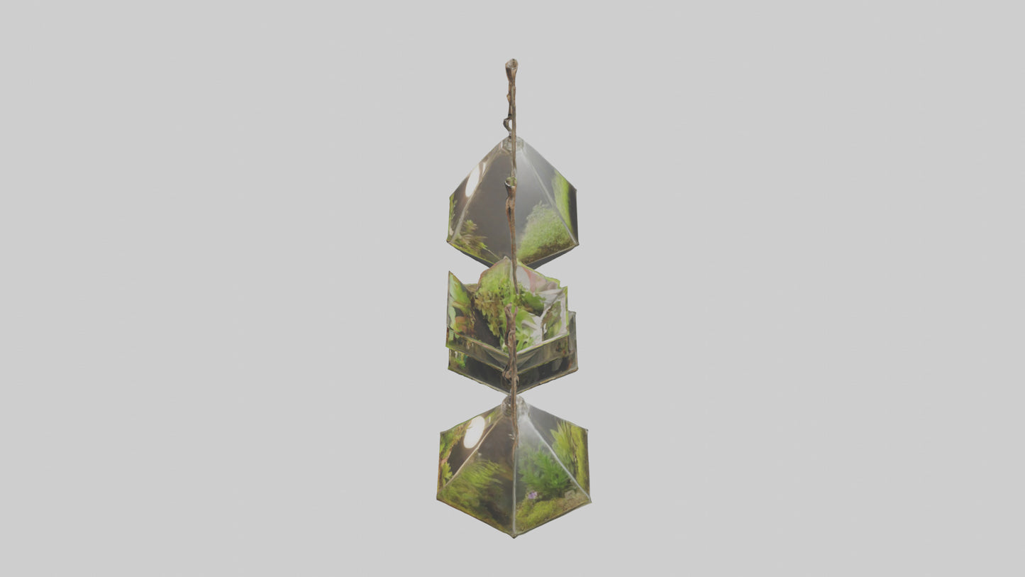 3D model Hanging Terrariums VR / AR / low-poly