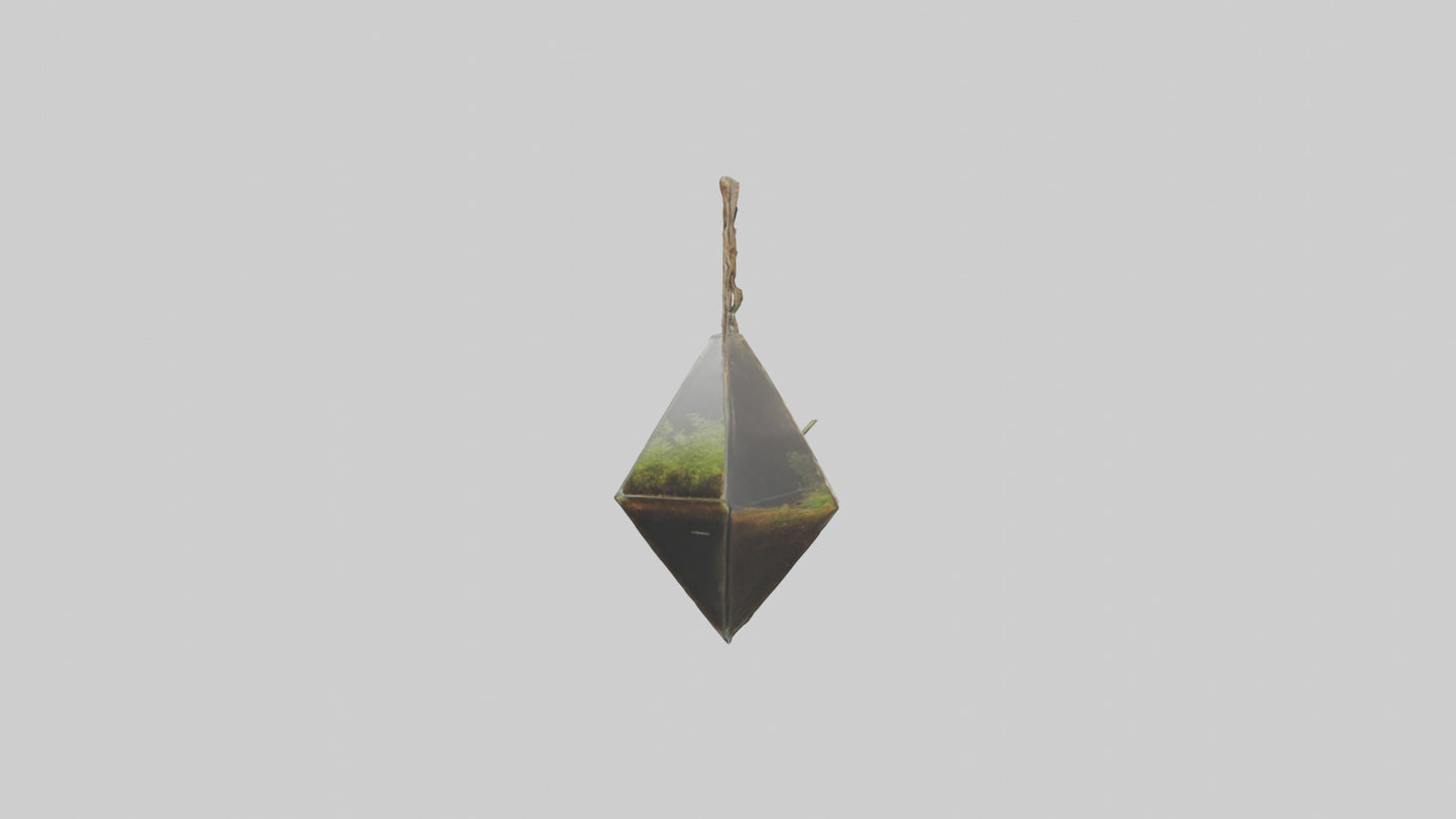 3D model Hanging Terrariums VR / AR / low-poly