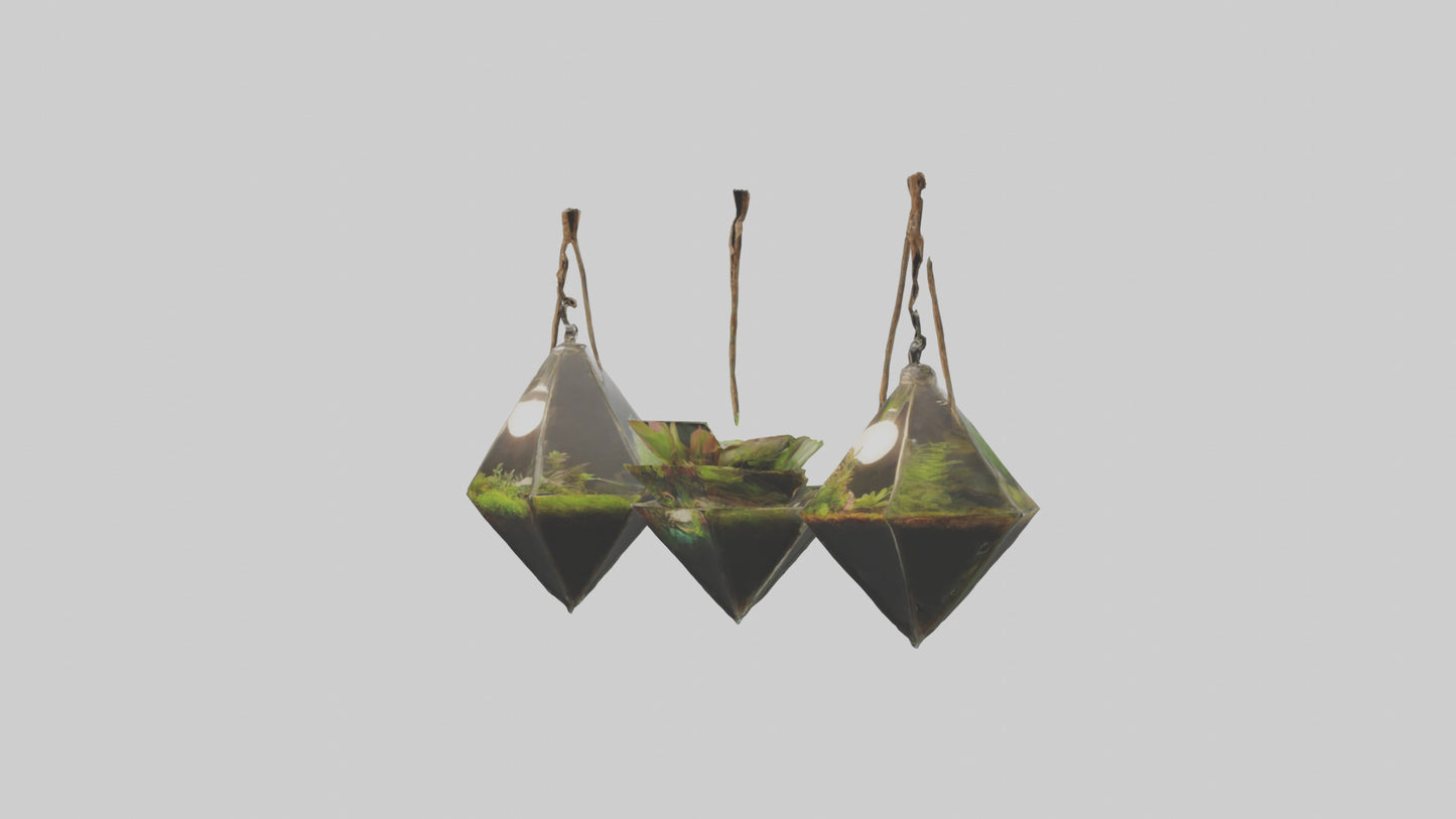 3D model Hanging Terrariums VR / AR / low-poly