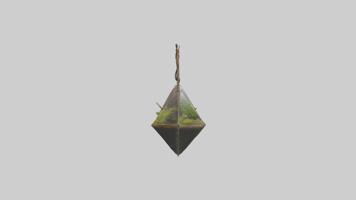 3D model Hanging Terrariums VR / AR / low-poly