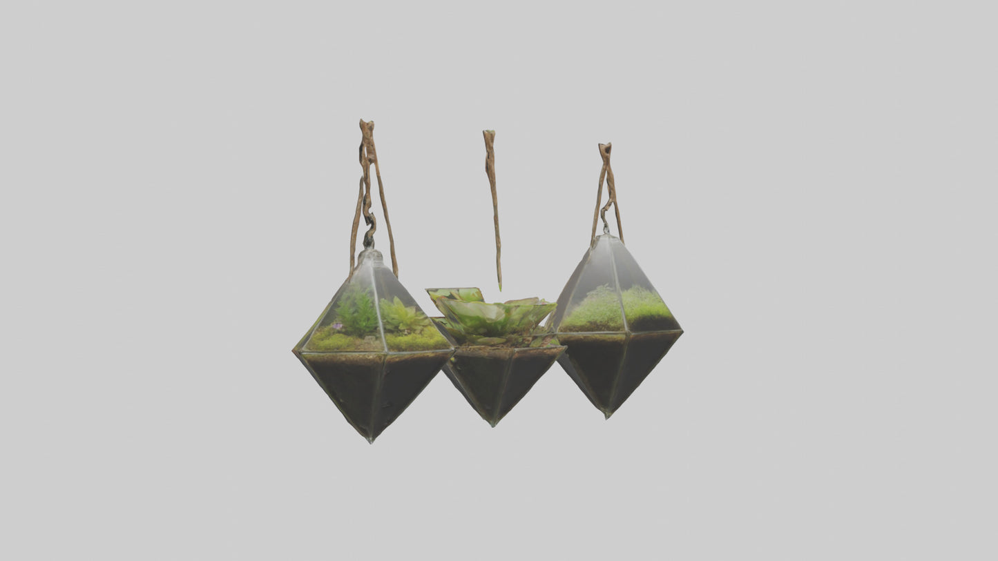 3D model Hanging Terrariums VR / AR / low-poly