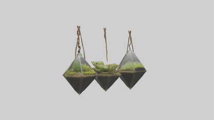 3D model Hanging Terrariums VR / AR / low-poly