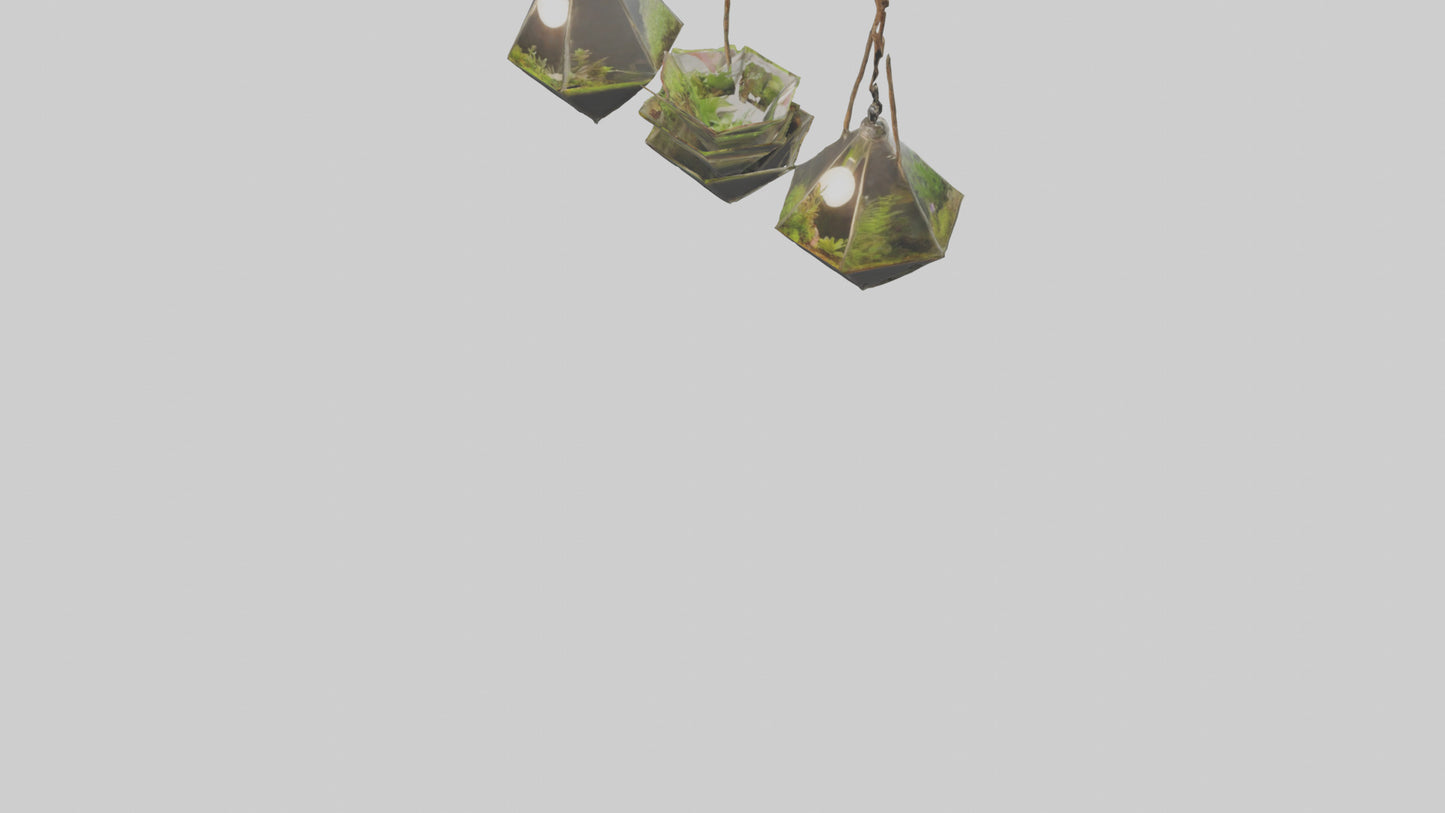 3D model Hanging Terrariums VR / AR / low-poly