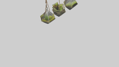 3D model Hanging Terrariums VR / AR / low-poly