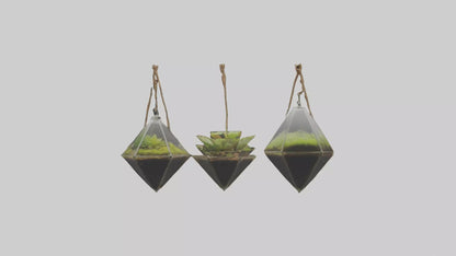 3D model Hanging Terrariums VR / AR / low-poly