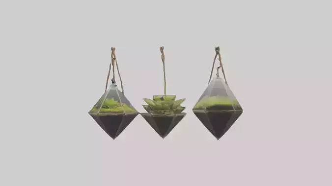 3D model Hanging Terrariums VR / AR / low-poly