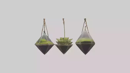 3D model Hanging Terrariums VR / AR / low-poly