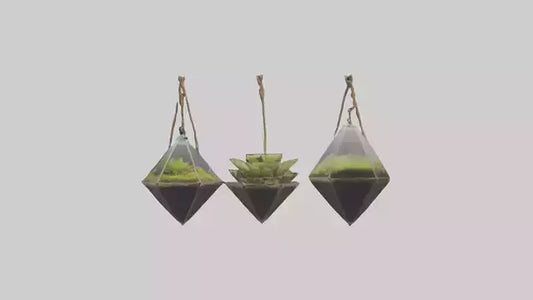 3D model Hanging Terrariums VR / AR / low-poly