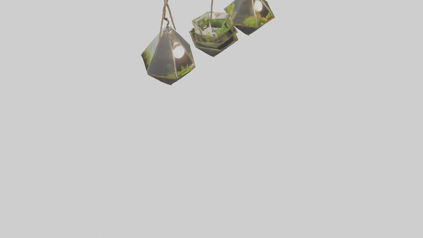 3D model Hanging Terrariums VR / AR / low-poly