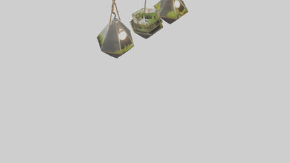 3D model Hanging Terrariums VR / AR / low-poly