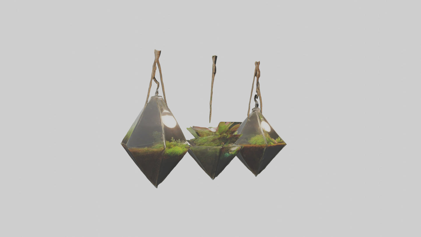 3D model Hanging Terrariums VR / AR / low-poly