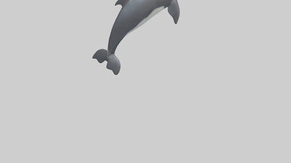3D model Harbor Porpoise jumping model VR / AR / low-poly