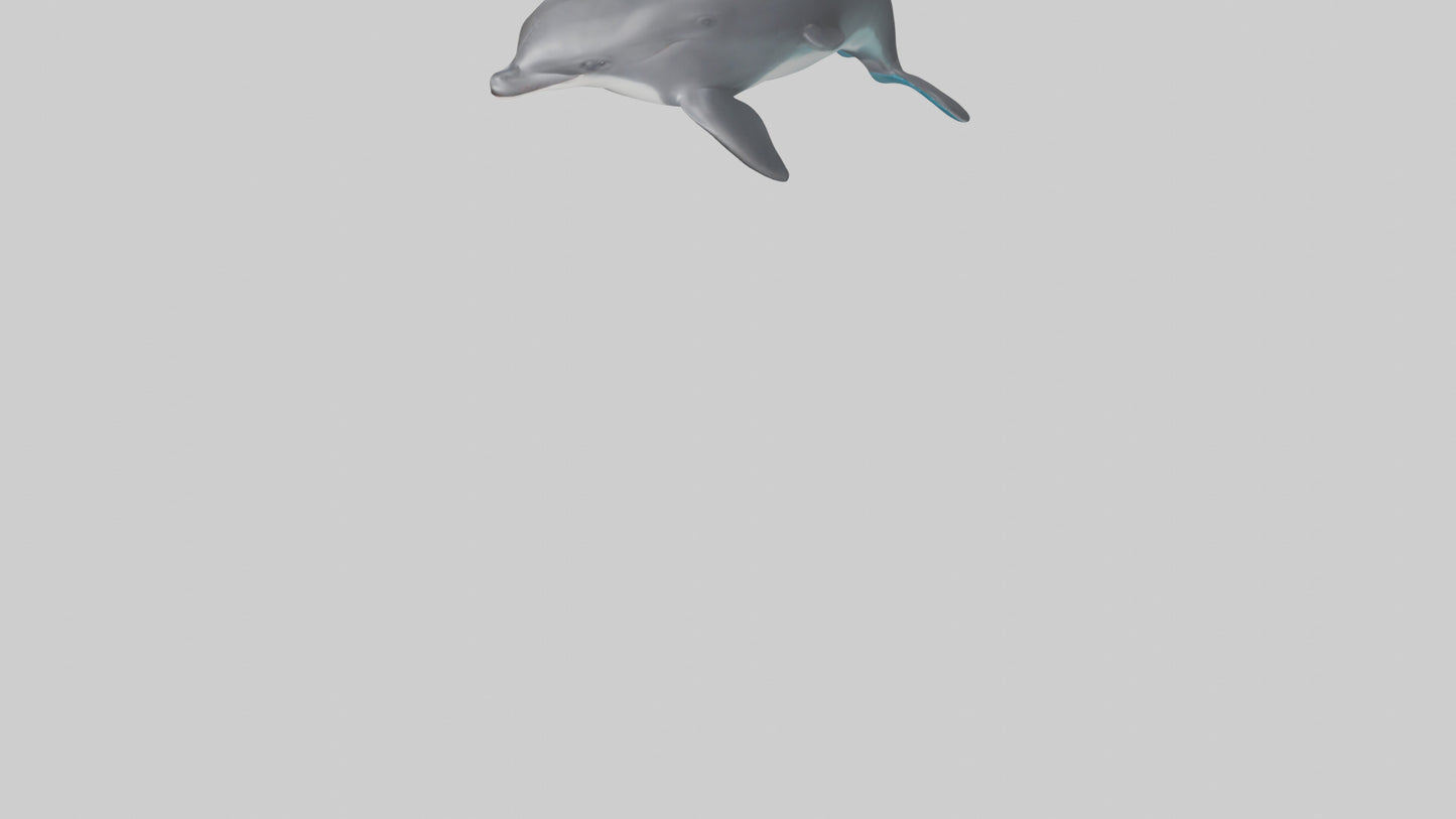 3D model Harbor Porpoise jumping model VR / AR / low-poly