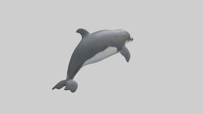 3D model Harbor Porpoise jumping model VR / AR / low-poly