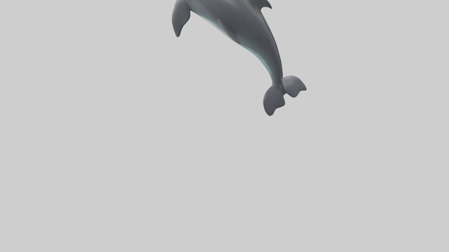 3D model Harbor Porpoise jumping model VR / AR / low-poly