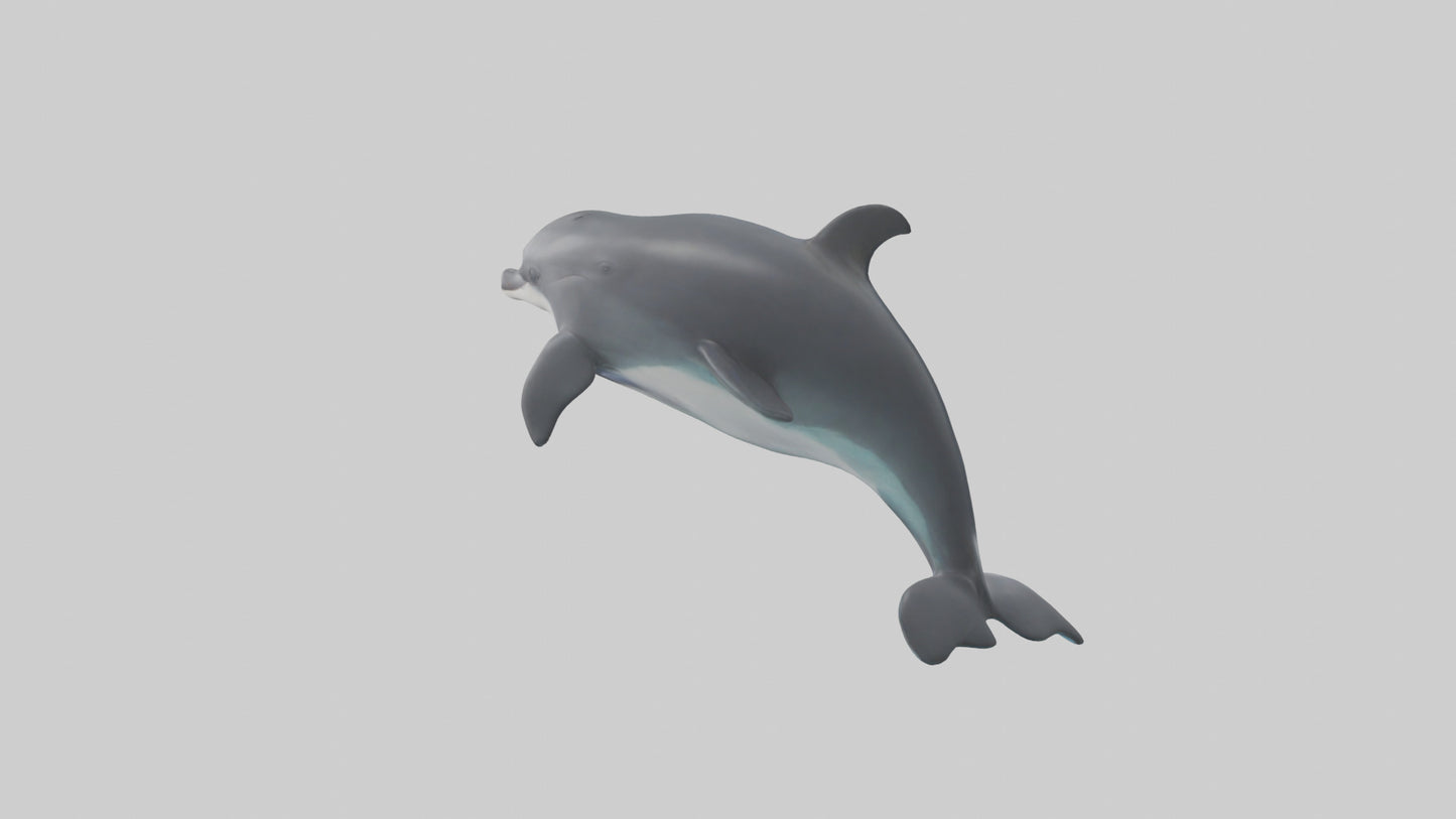3D model Harbor Porpoise jumping model VR / AR / low-poly