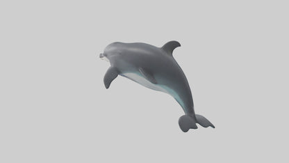 3D model Harbor Porpoise jumping model VR / AR / low-poly
