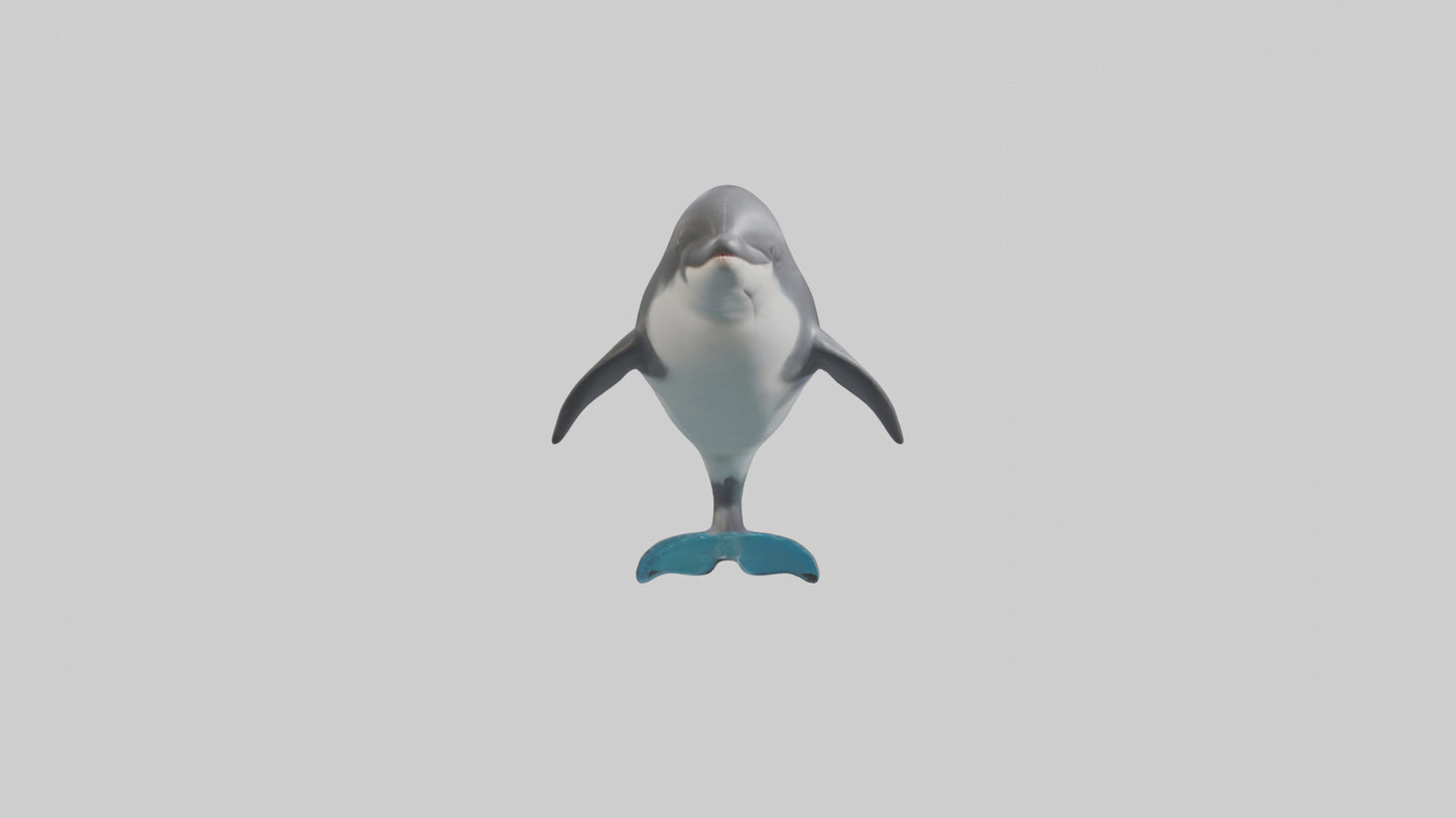 3D model Harbor Porpoise jumping model VR / AR / low-poly