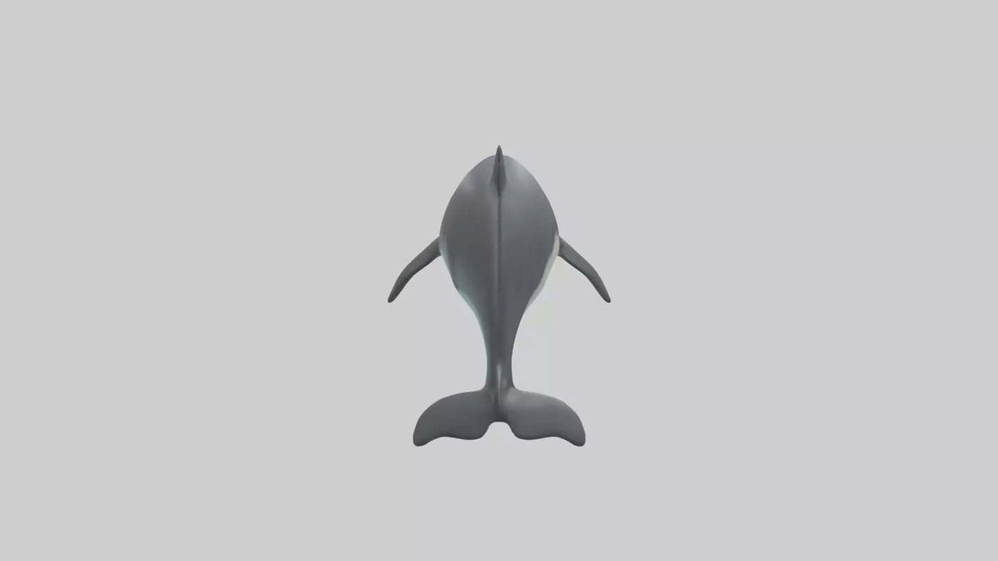 3D model Harbor Porpoise jumping model VR / AR / low-poly