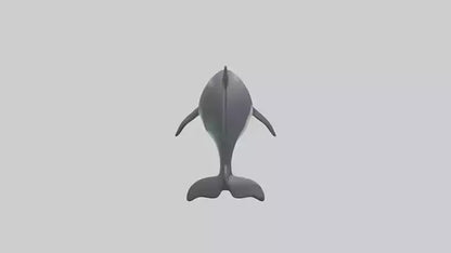3D model Harbor Porpoise jumping model VR / AR / low-poly