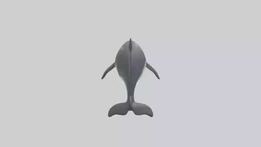 3D model Harbor Porpoise jumping model VR / AR / low-poly