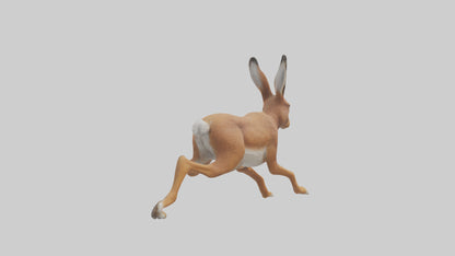 3D model Hare running model VR / AR / low-poly