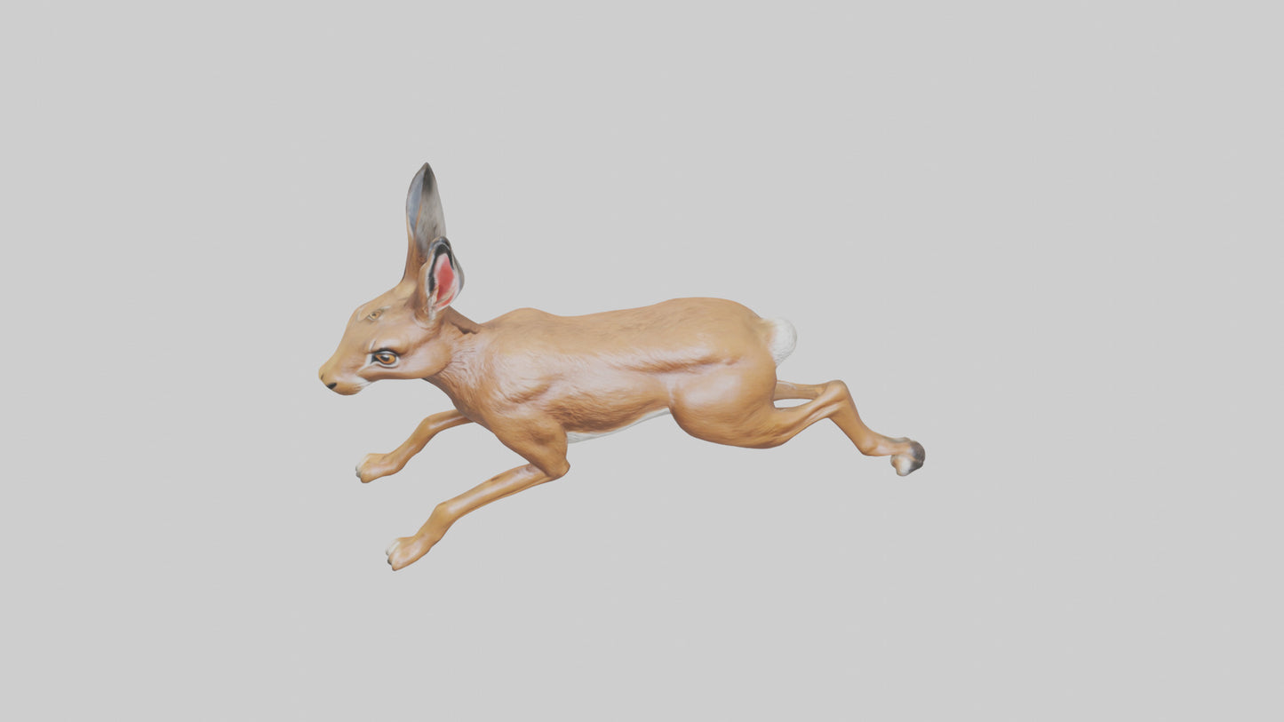 3D model Hare running model VR / AR / low-poly