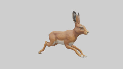 3D model Hare running model VR / AR / low-poly