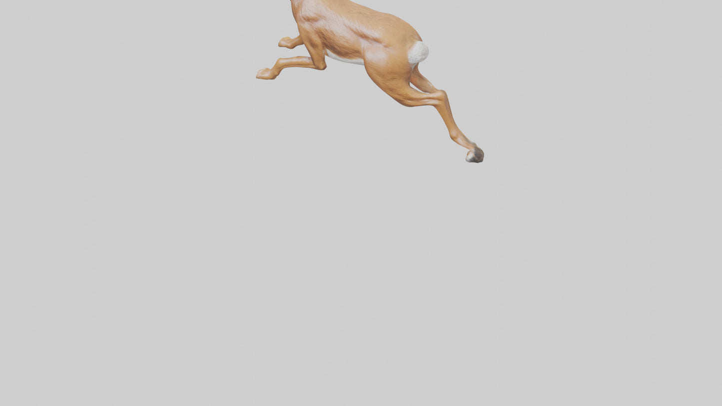 3D model Hare running model VR / AR / low-poly