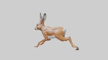 3D model Hare running model VR / AR / low-poly