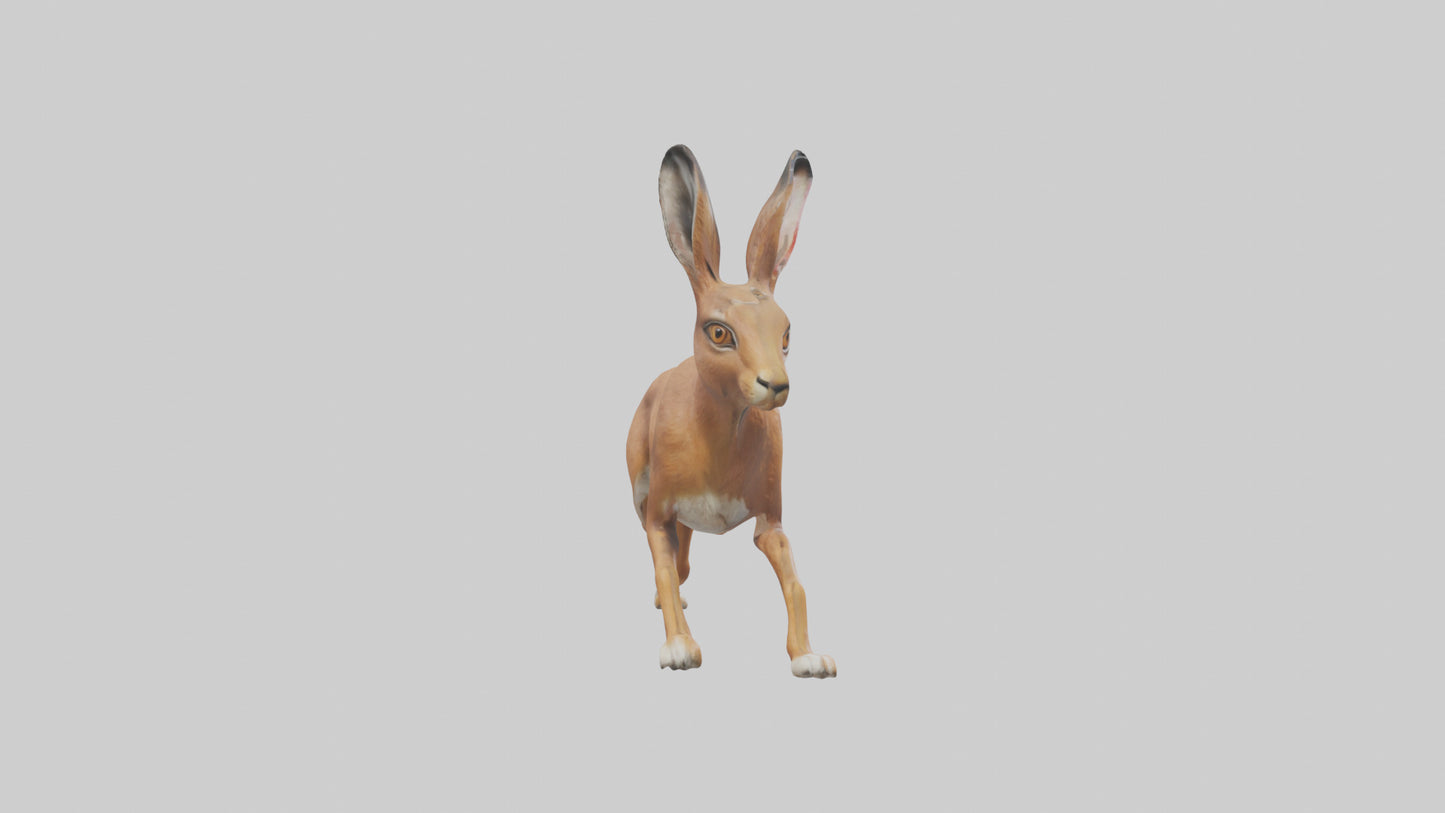 3D model Hare running model VR / AR / low-poly