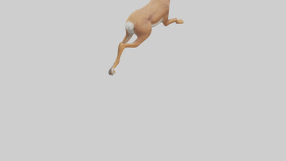 3D model Hare running model VR / AR / low-poly
