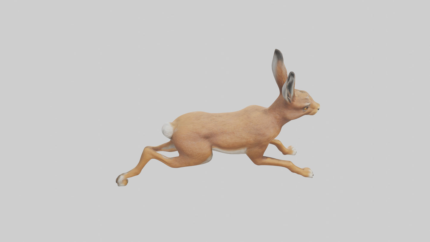 3D model Hare running model VR / AR / low-poly