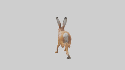 3D model Hare running model VR / AR / low-poly