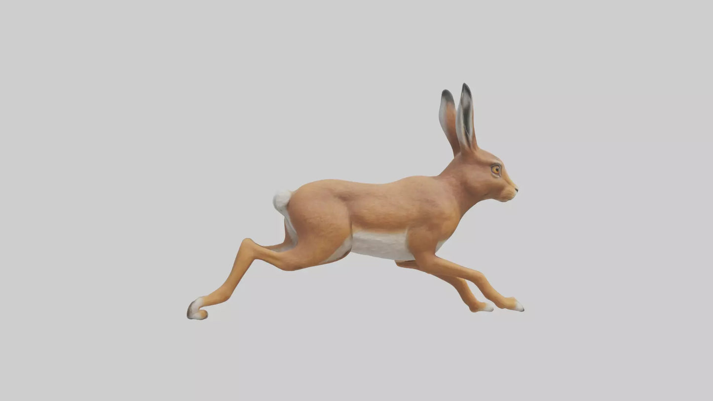 3D model Hare running model VR / AR / low-poly