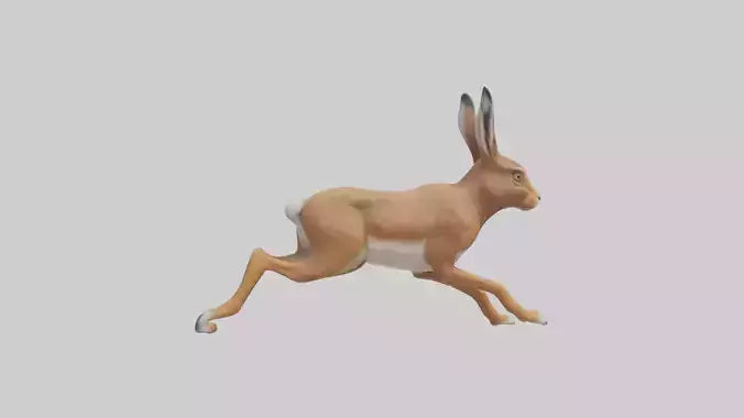 3D model Hare running model VR / AR / low-poly