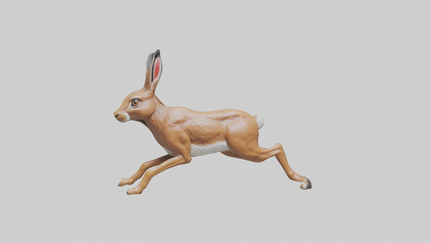3D model Hare running model VR / AR / low-poly
