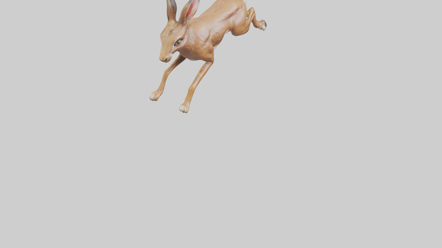 3D model Hare running model VR / AR / low-poly