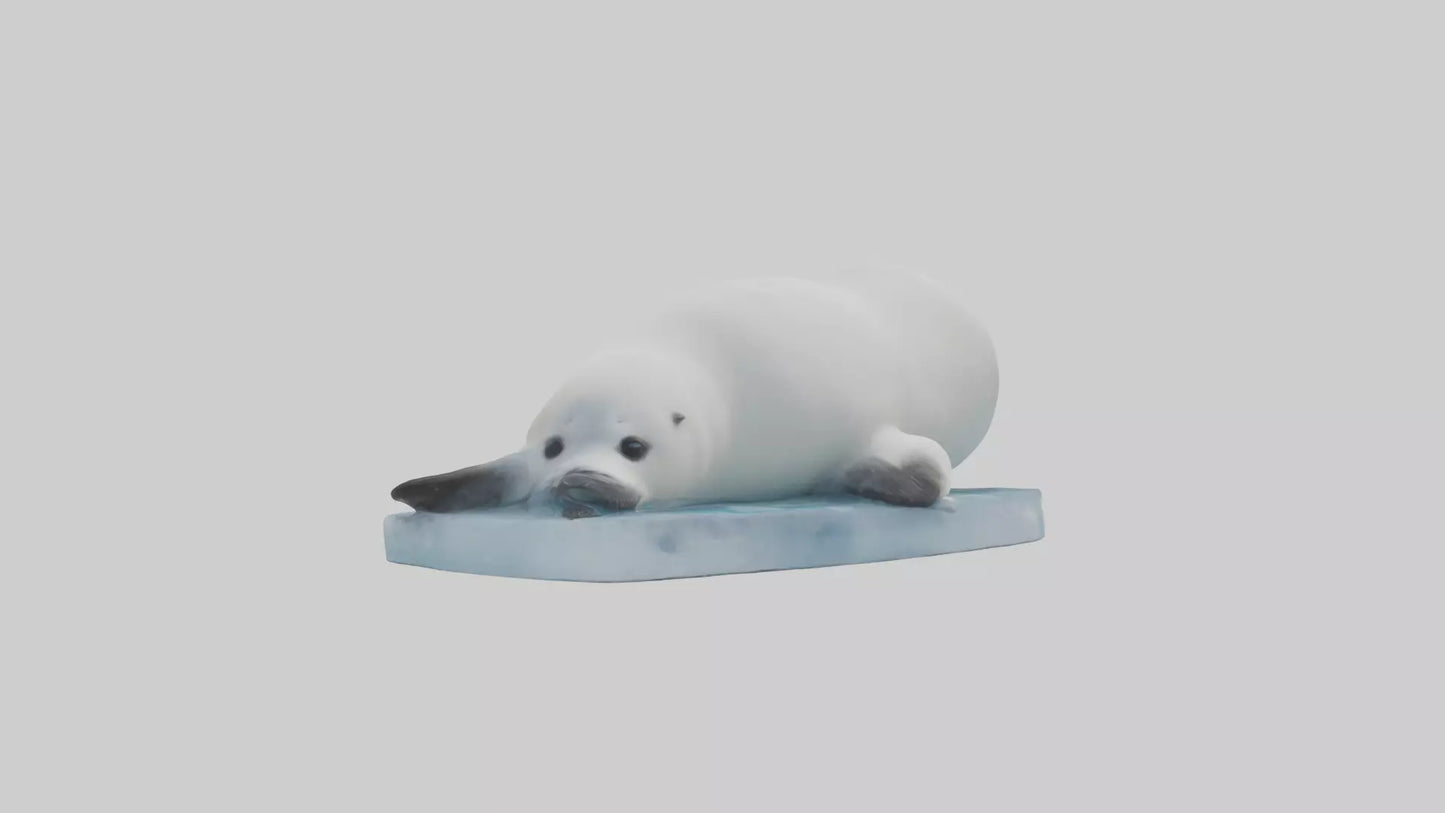 3D model Harp Seal pup on ice model VR / AR / low-poly