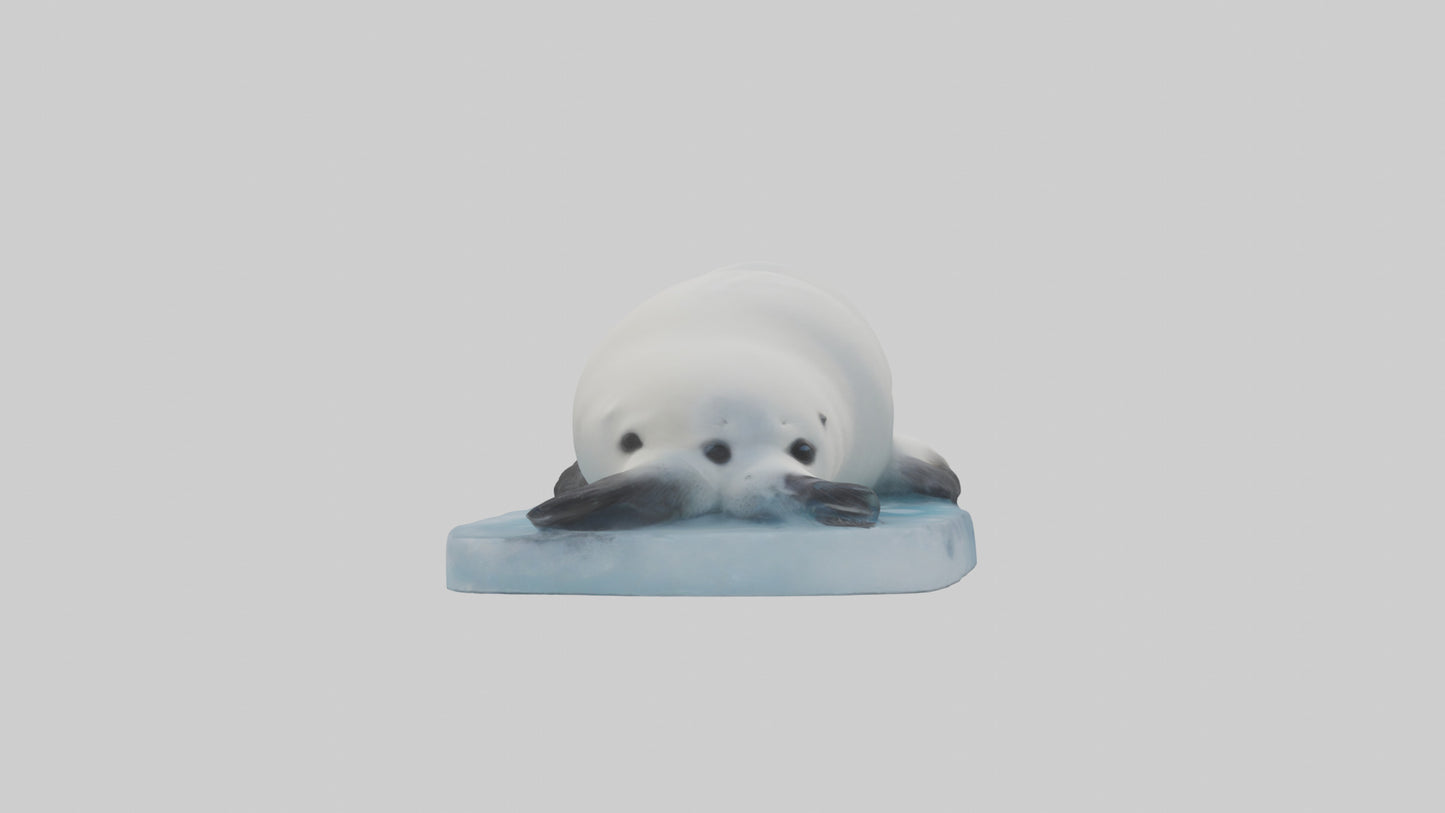 3D model Harp Seal pup on ice model VR / AR / low-poly