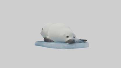 3D model Harp Seal pup on ice model VR / AR / low-poly