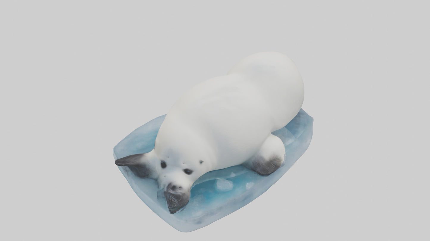 3D model Harp Seal pup on ice model VR / AR / low-poly