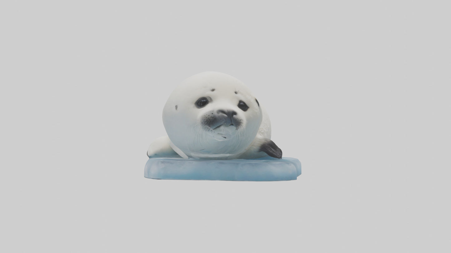 3D model Harp Seal pup on ice model VR / AR / low-poly